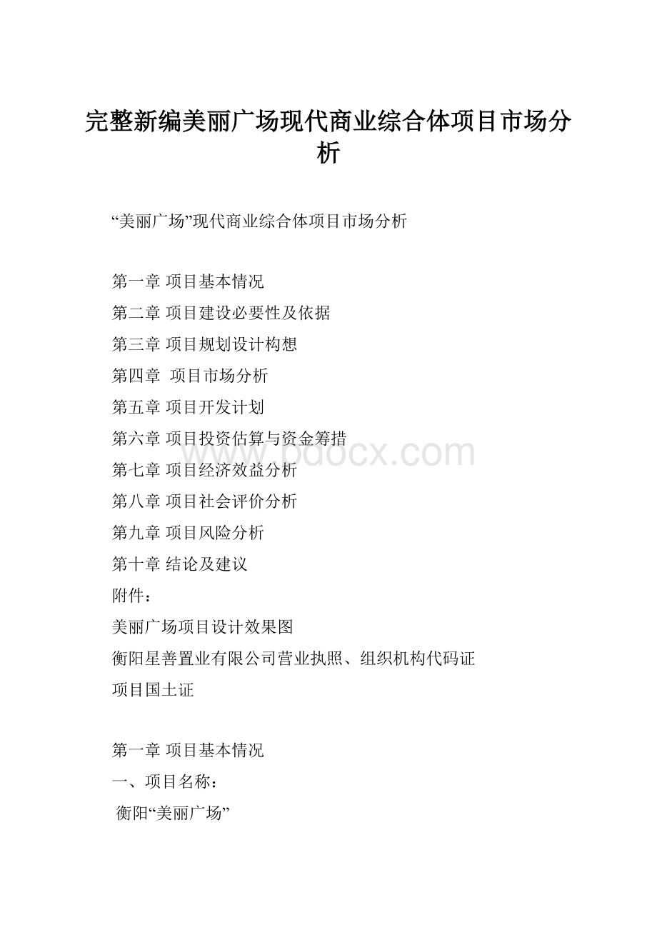 完整新编美丽广场现代商业综合体项目市场分析.docx