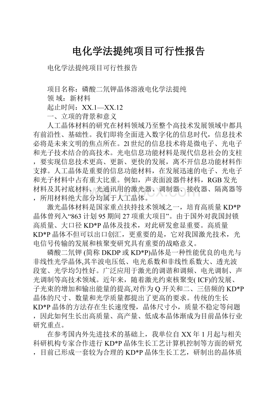 电化学法提纯项目可行性报告.docx