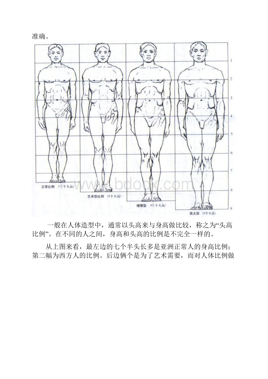 模型高级课件人体结构.docx_第2页