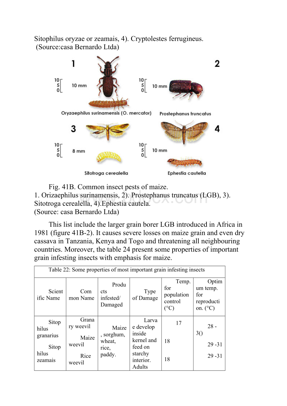 Pest control of Storage for Maize.docx_第3页