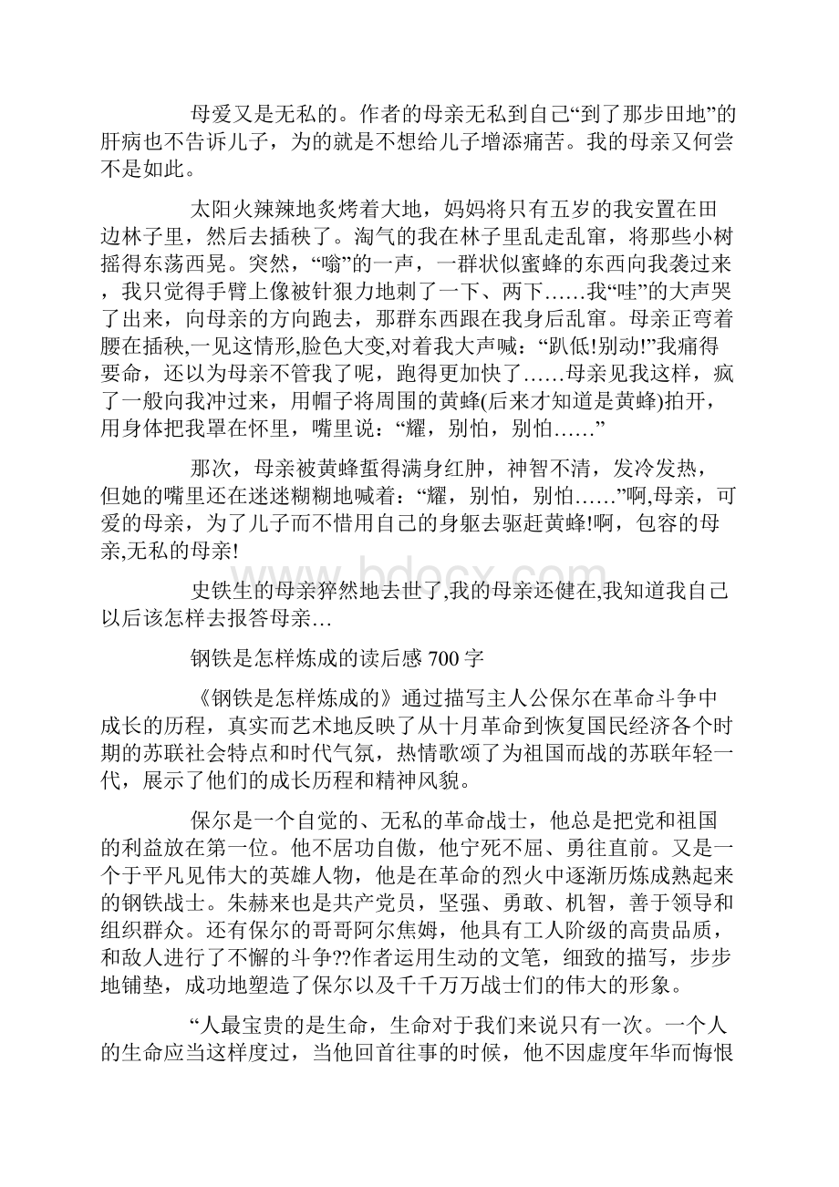 《钢铁是怎么炼成的》读后感优秀作文700字.docx_第2页