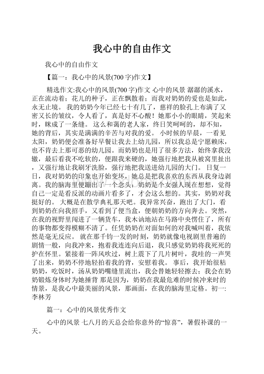 我心中的自由作文.docx