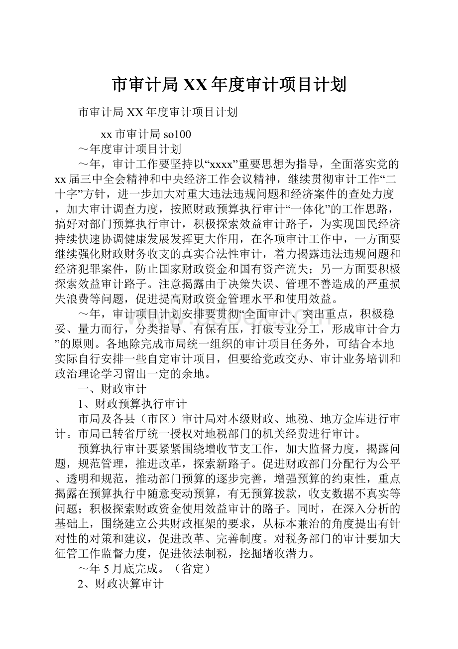 市审计局XX年度审计项目计划.docx