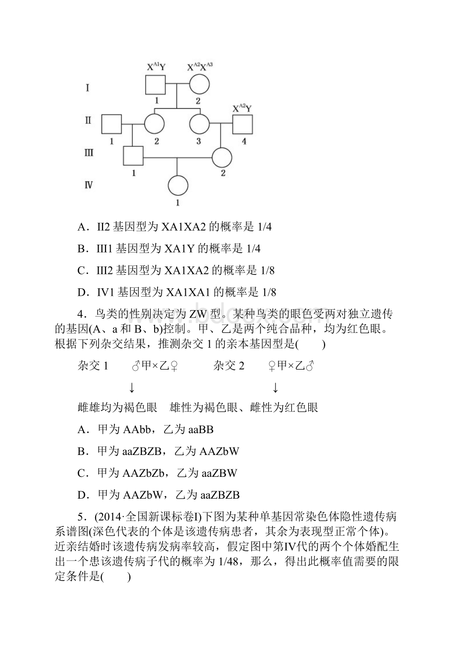 高考一轮复习热点专练人教版遗传的基本规律与伴性遗传.docx_第2页