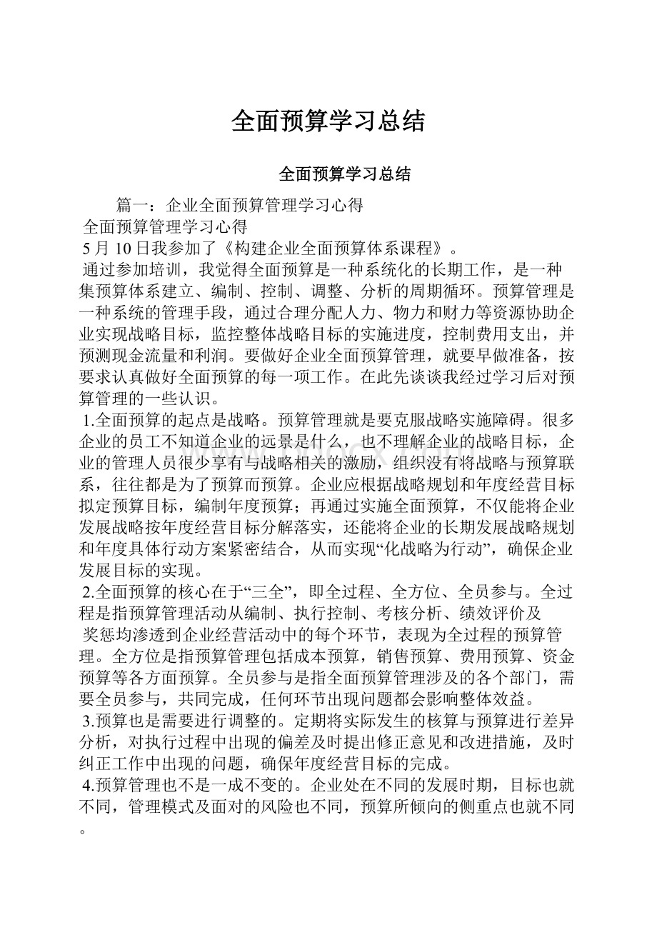 全面预算学习总结.docx