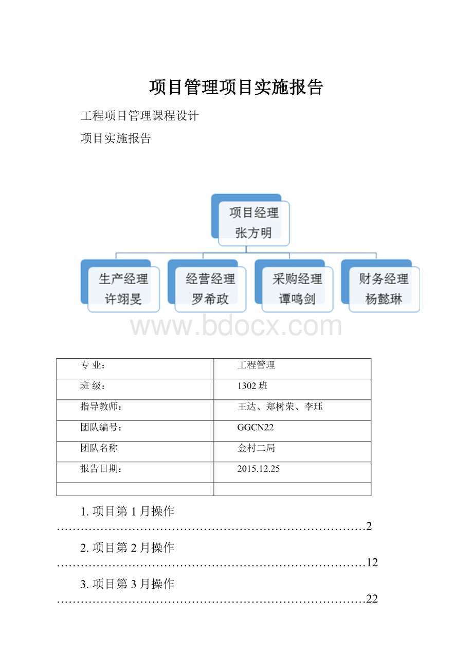 项目管理项目实施报告.docx