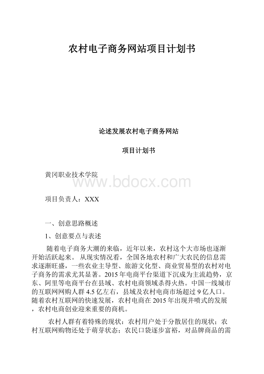 农村电子商务网站项目计划书.docx_第1页