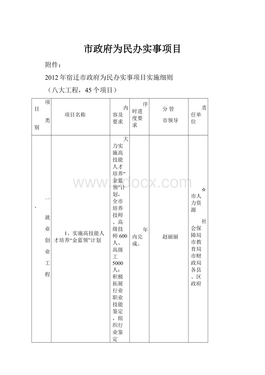 市政府为民办实事项目.docx