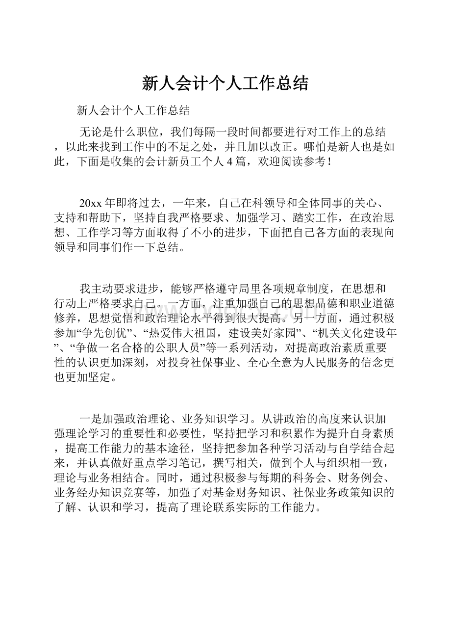 新人会计个人工作总结.docx