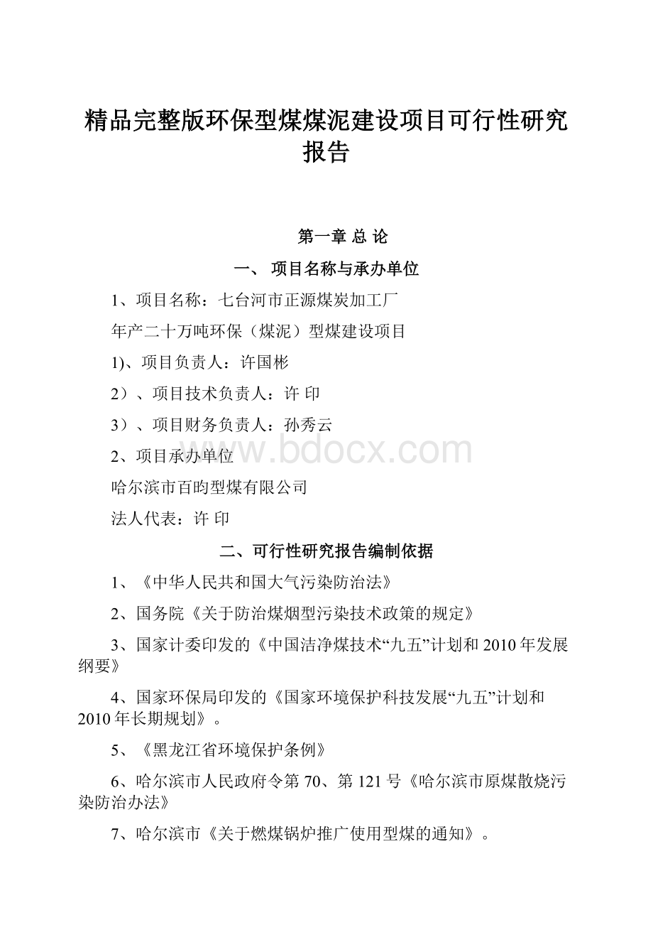 精品完整版环保型煤煤泥建设项目可行性研究报告.docx