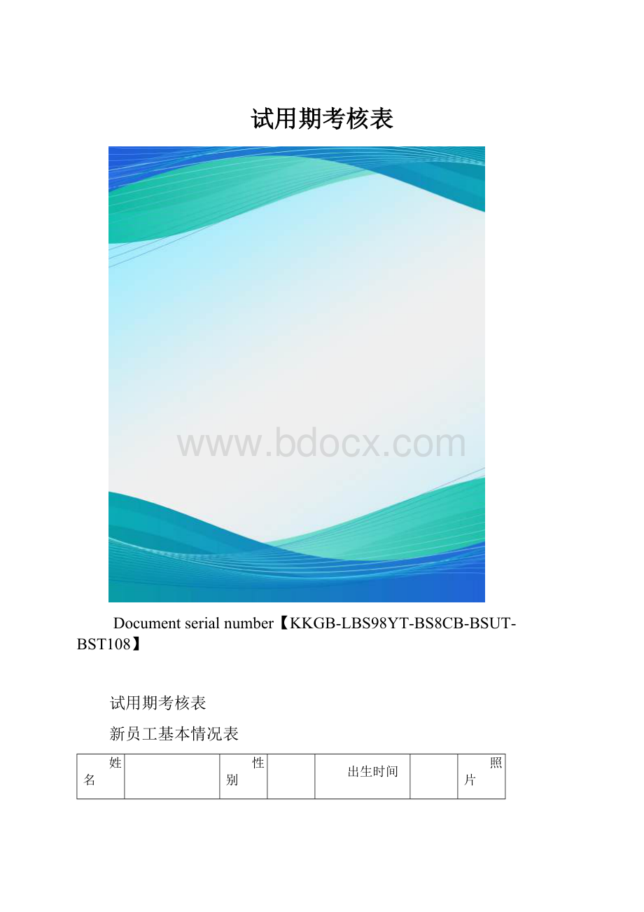 试用期考核表.docx