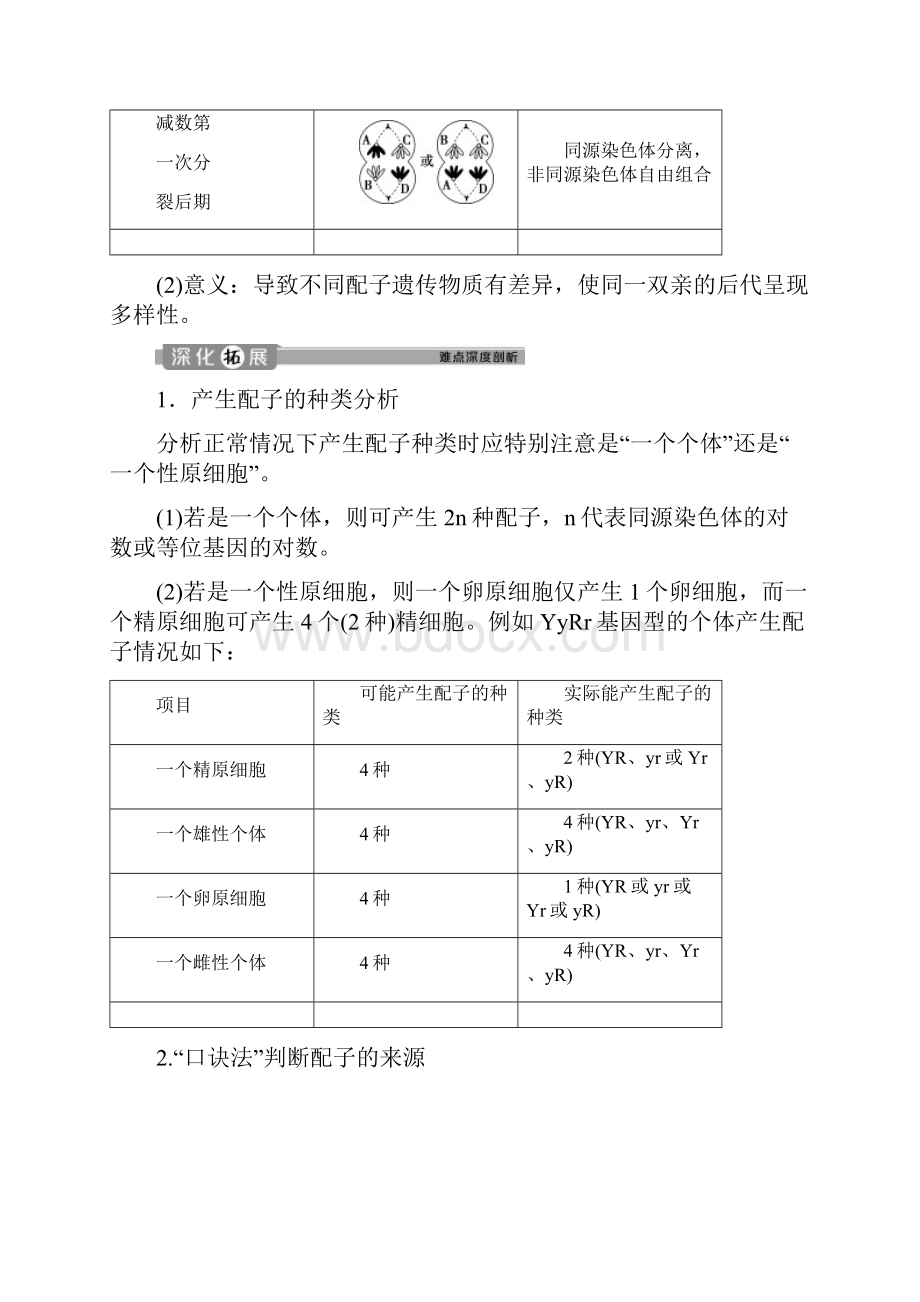 高中生物 第2章 基因和染色体的关系 第1节 减数分裂和受精作用Ⅲ学案 新人教版必修2doc.docx_第2页