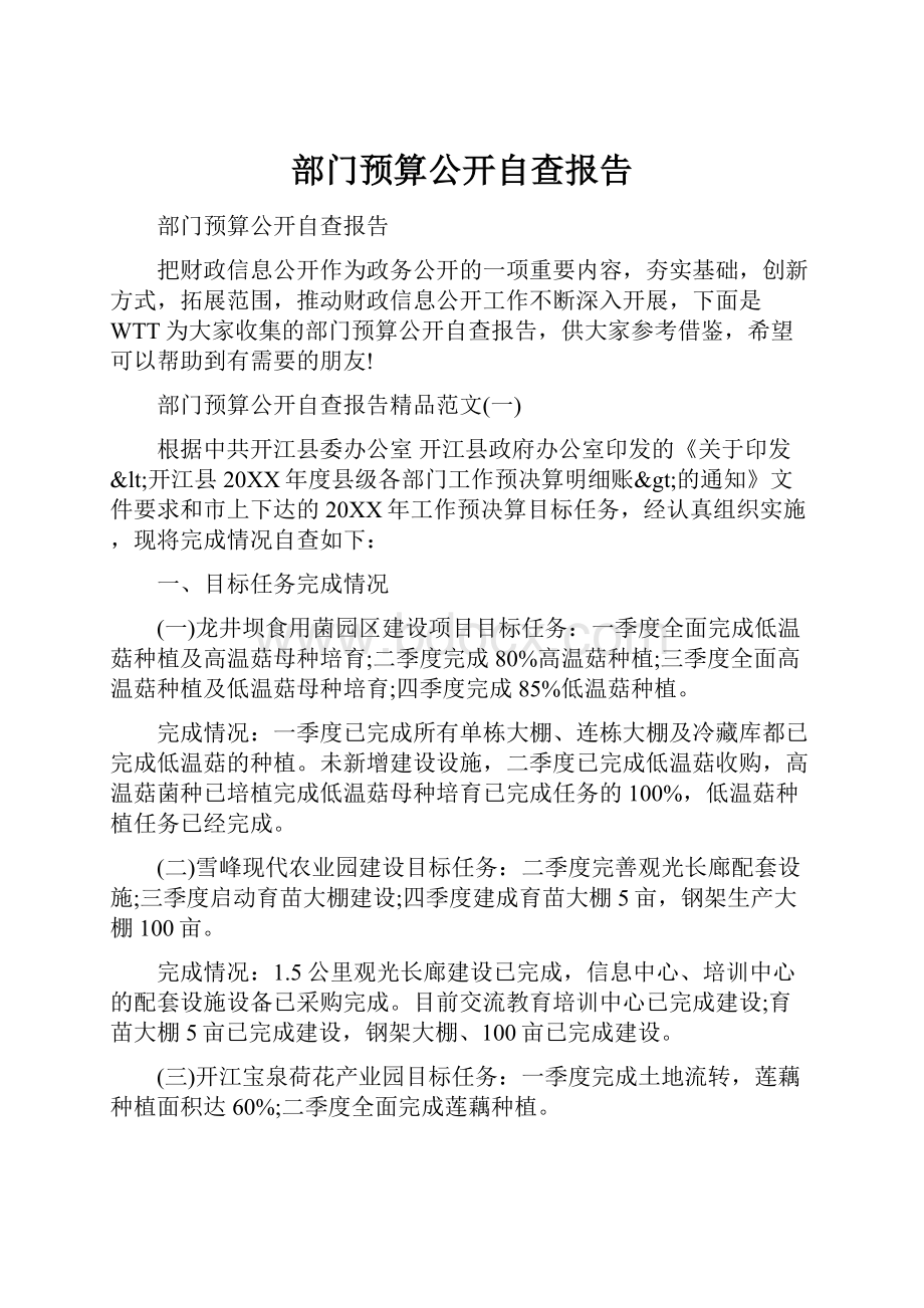 部门预算公开自查报告.docx_第1页