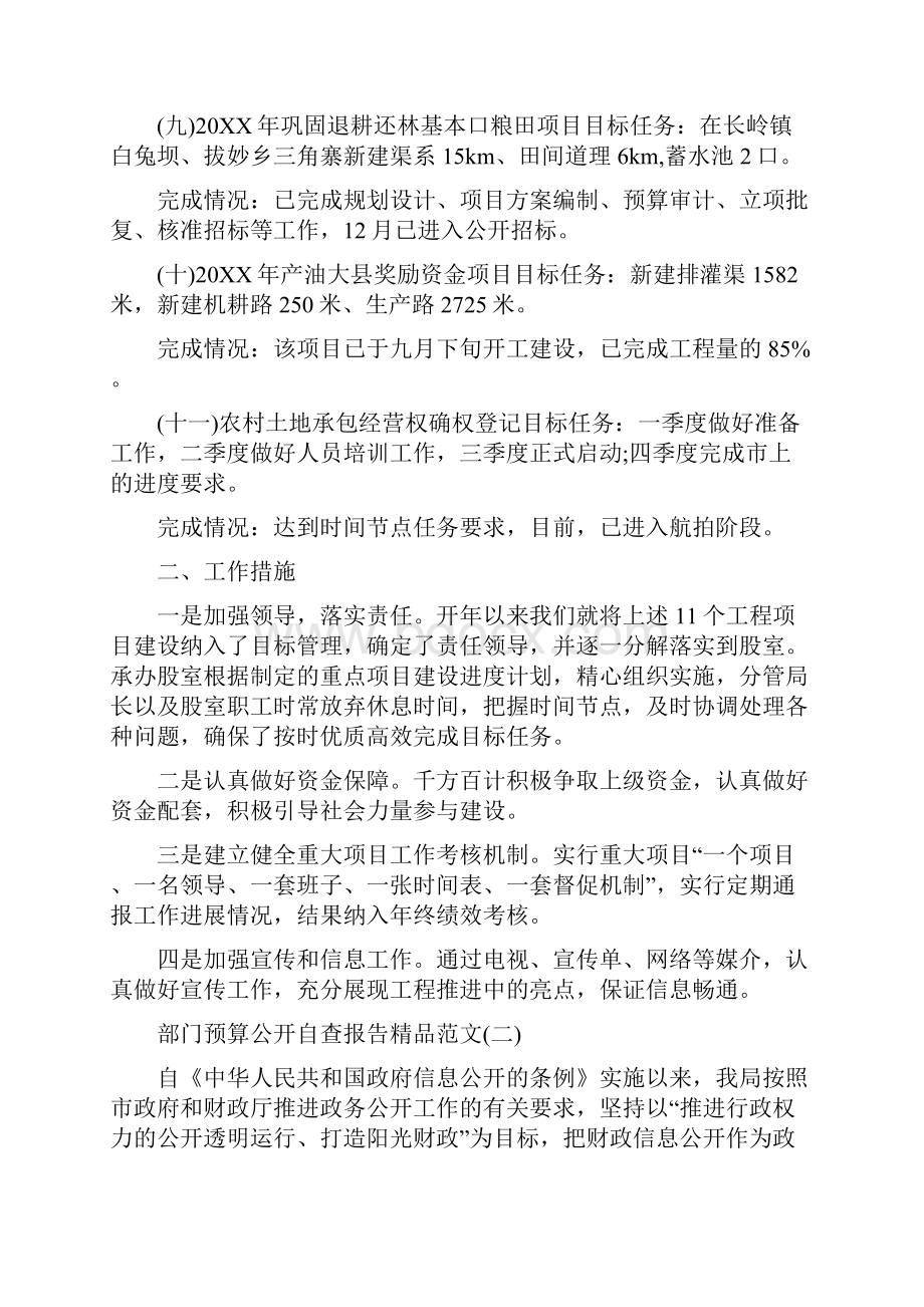 部门预算公开自查报告.docx_第3页