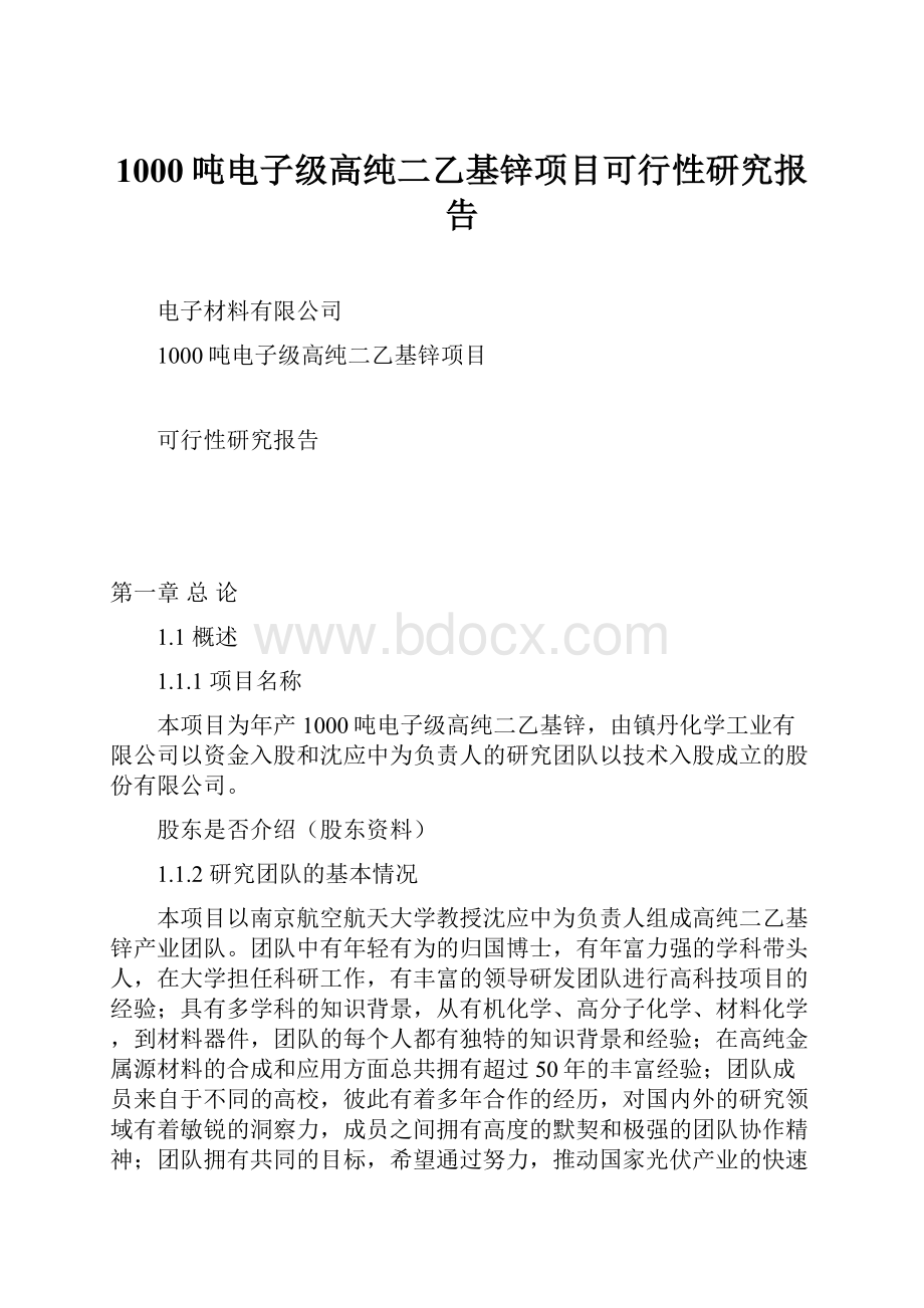 1000吨电子级高纯二乙基锌项目可行性研究报告.docx