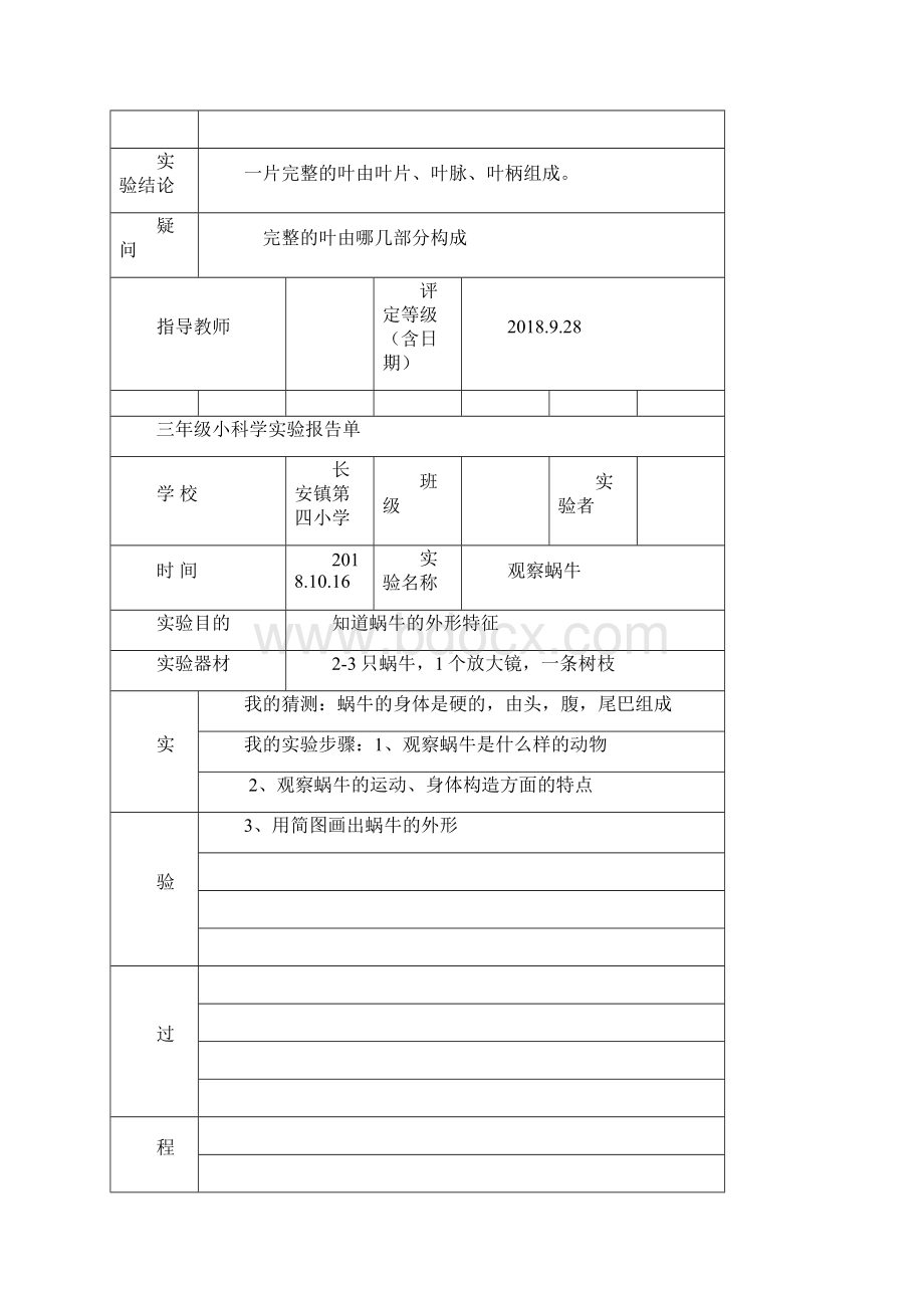 三年级上册科学实验报告单.docx_第3页