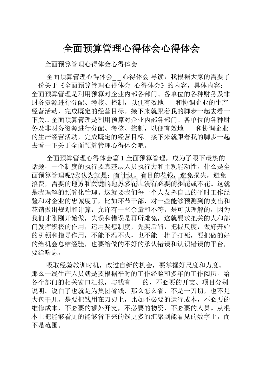 全面预算管理心得体会心得体会.docx