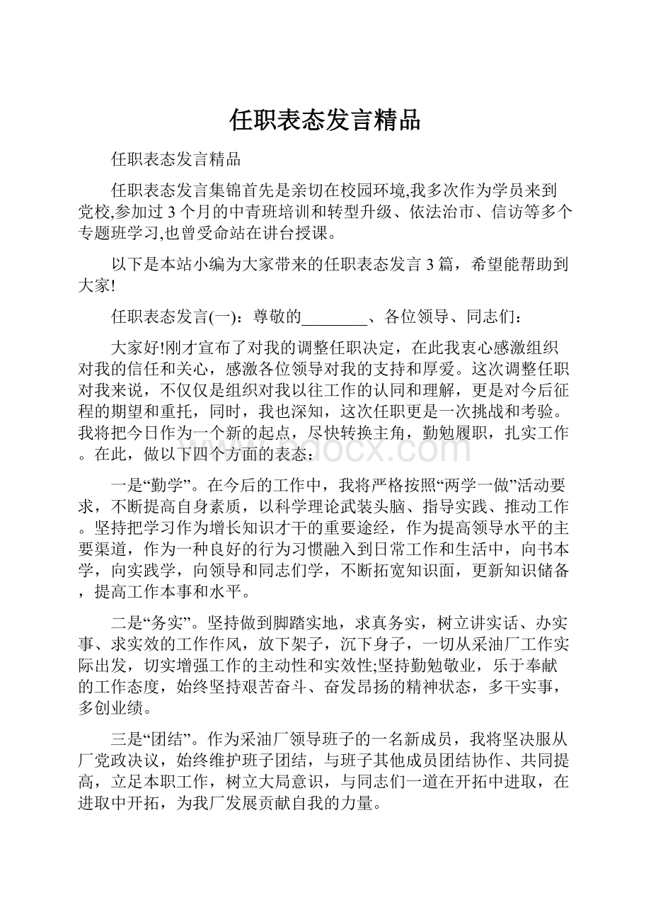 任职表态发言精品.docx