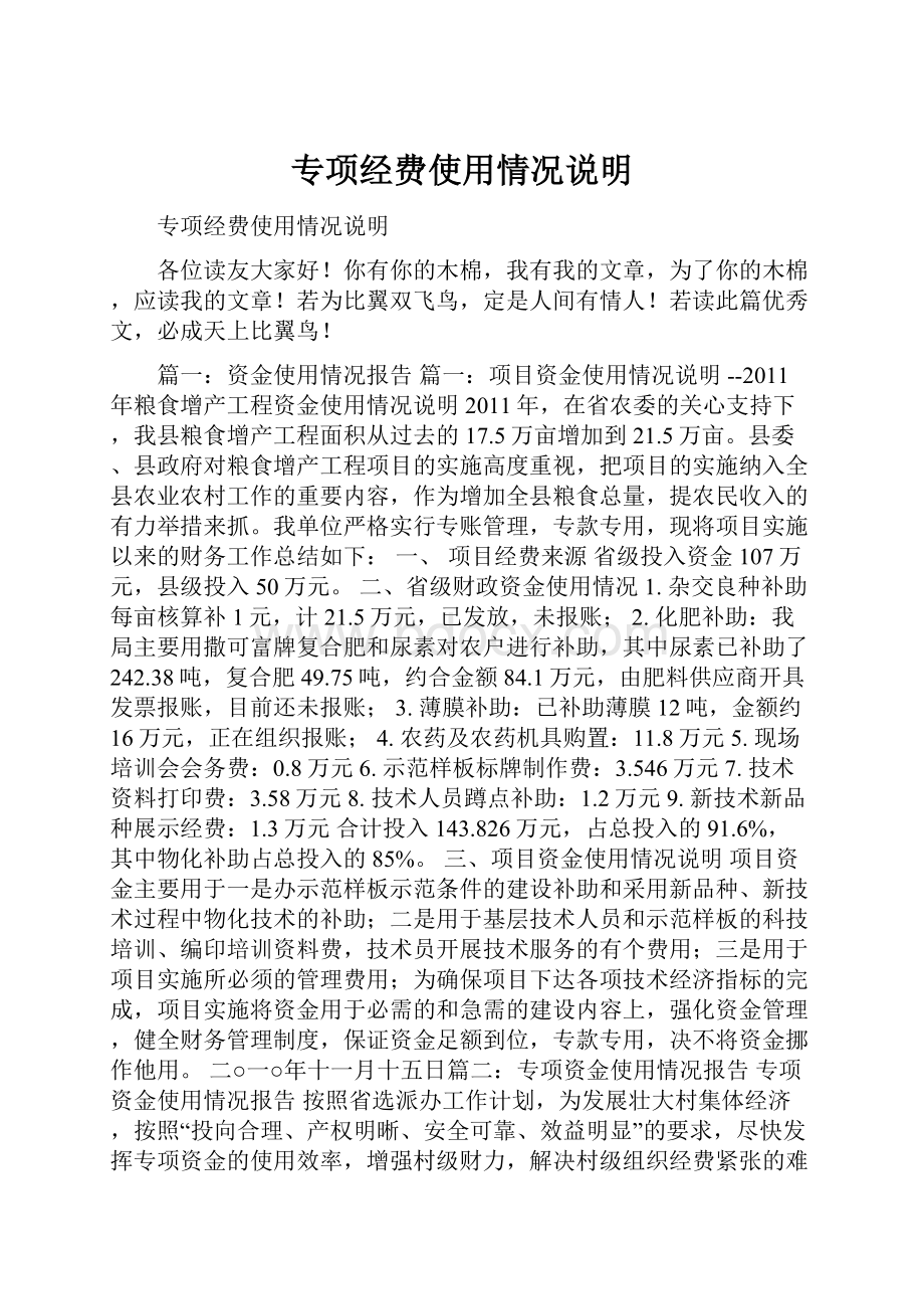 专项经费使用情况说明.docx