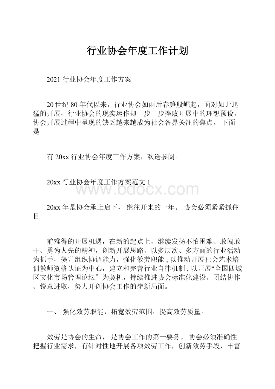 行业协会年度工作计划.docx