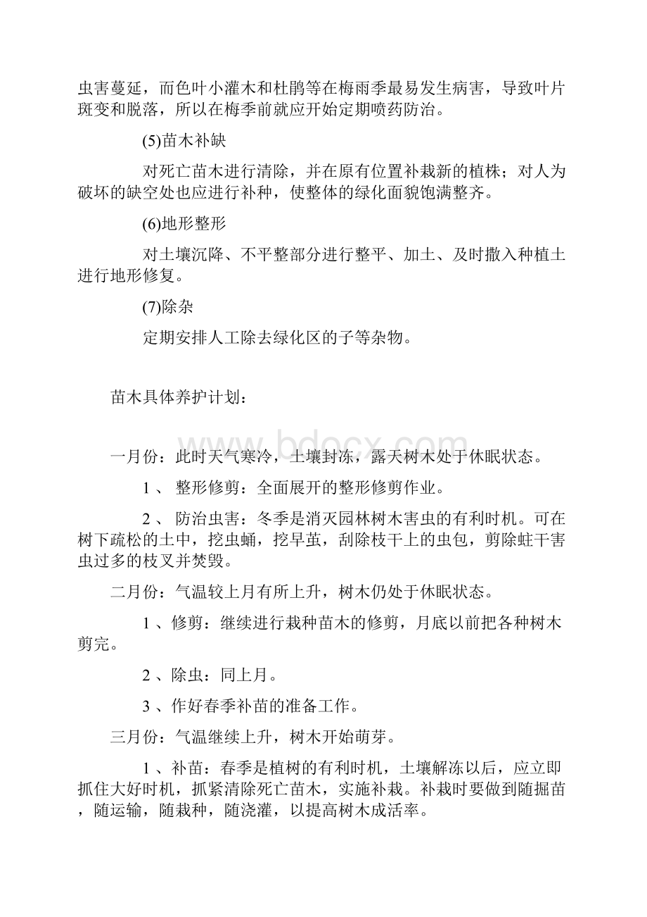 苗木养护技术管理措施.docx_第2页