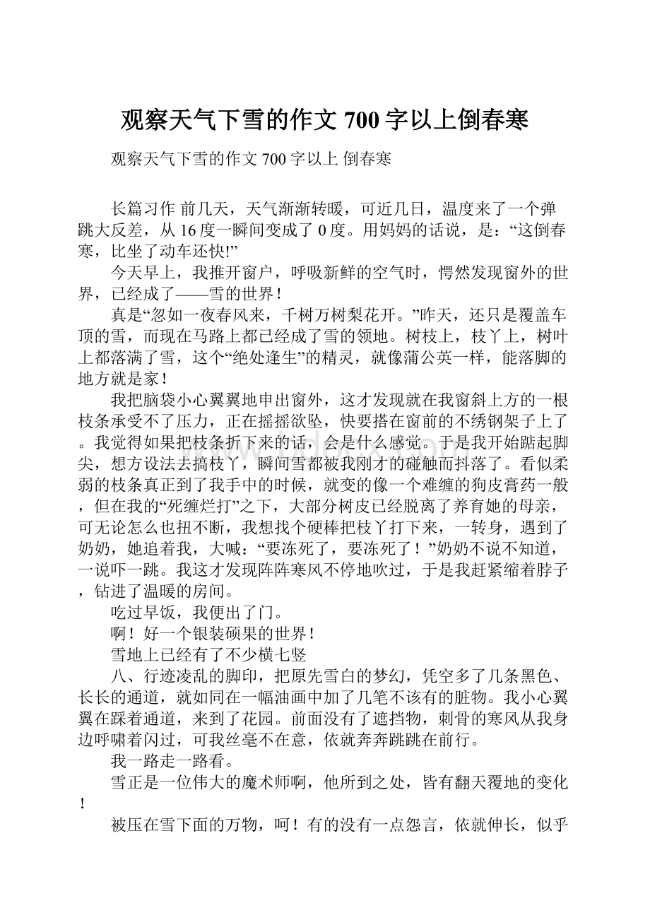 观察天气下雪的作文700字以上倒春寒.docx