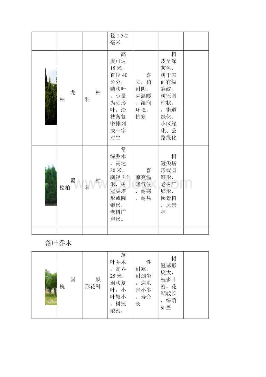 西北地区绿化植物分类图表.docx_第3页