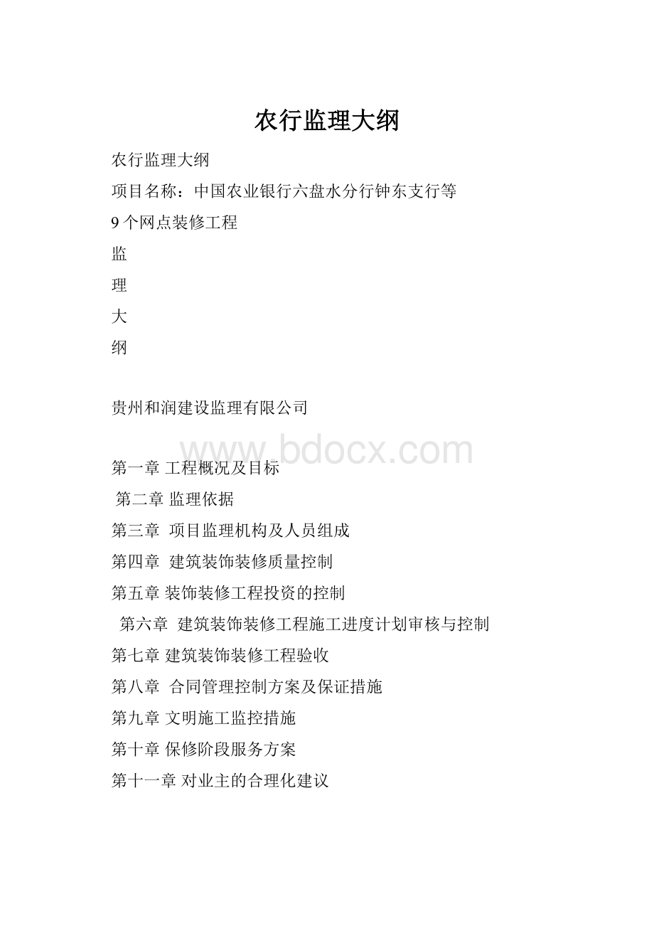 农行监理大纲.docx