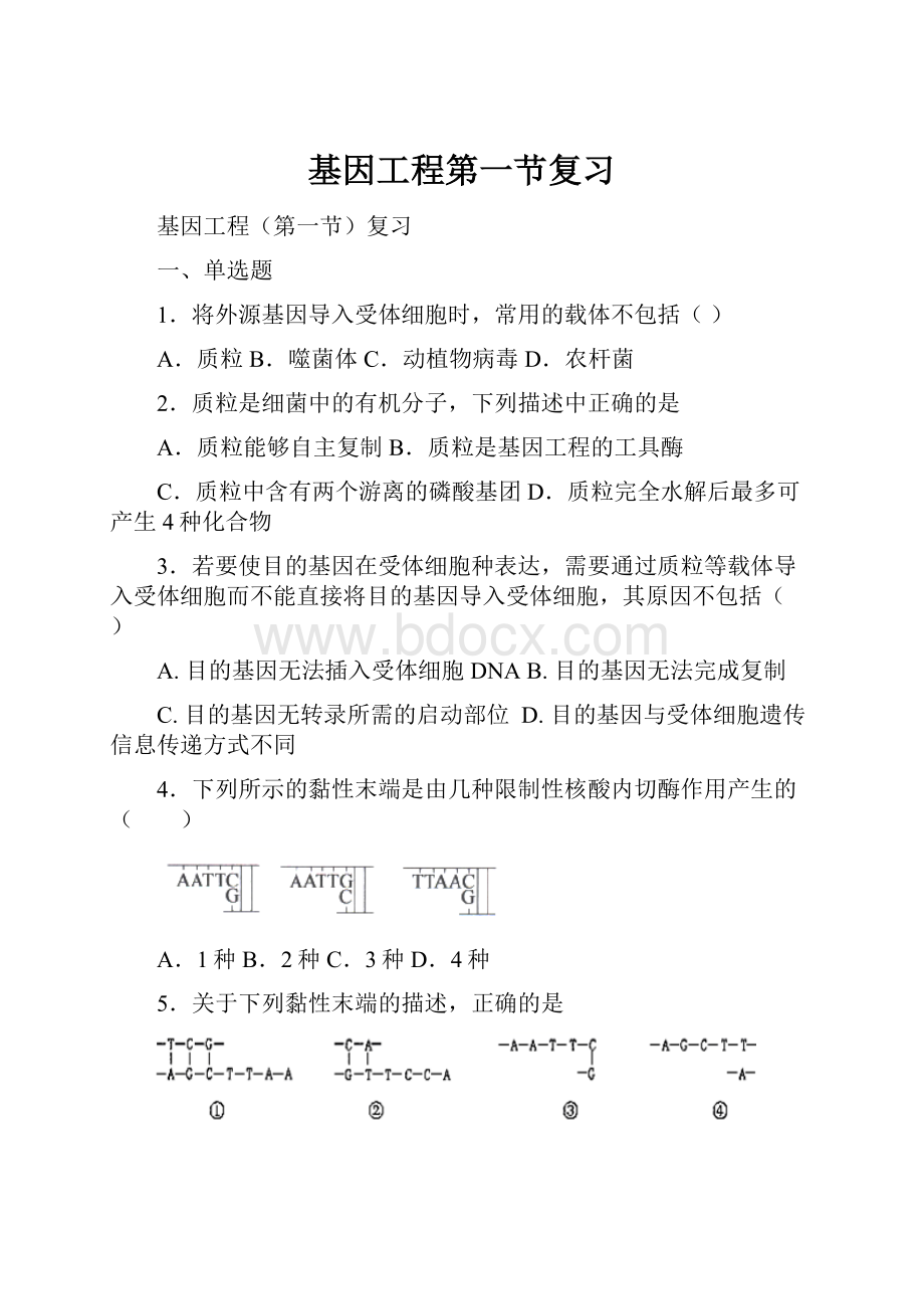 基因工程第一节复习.docx