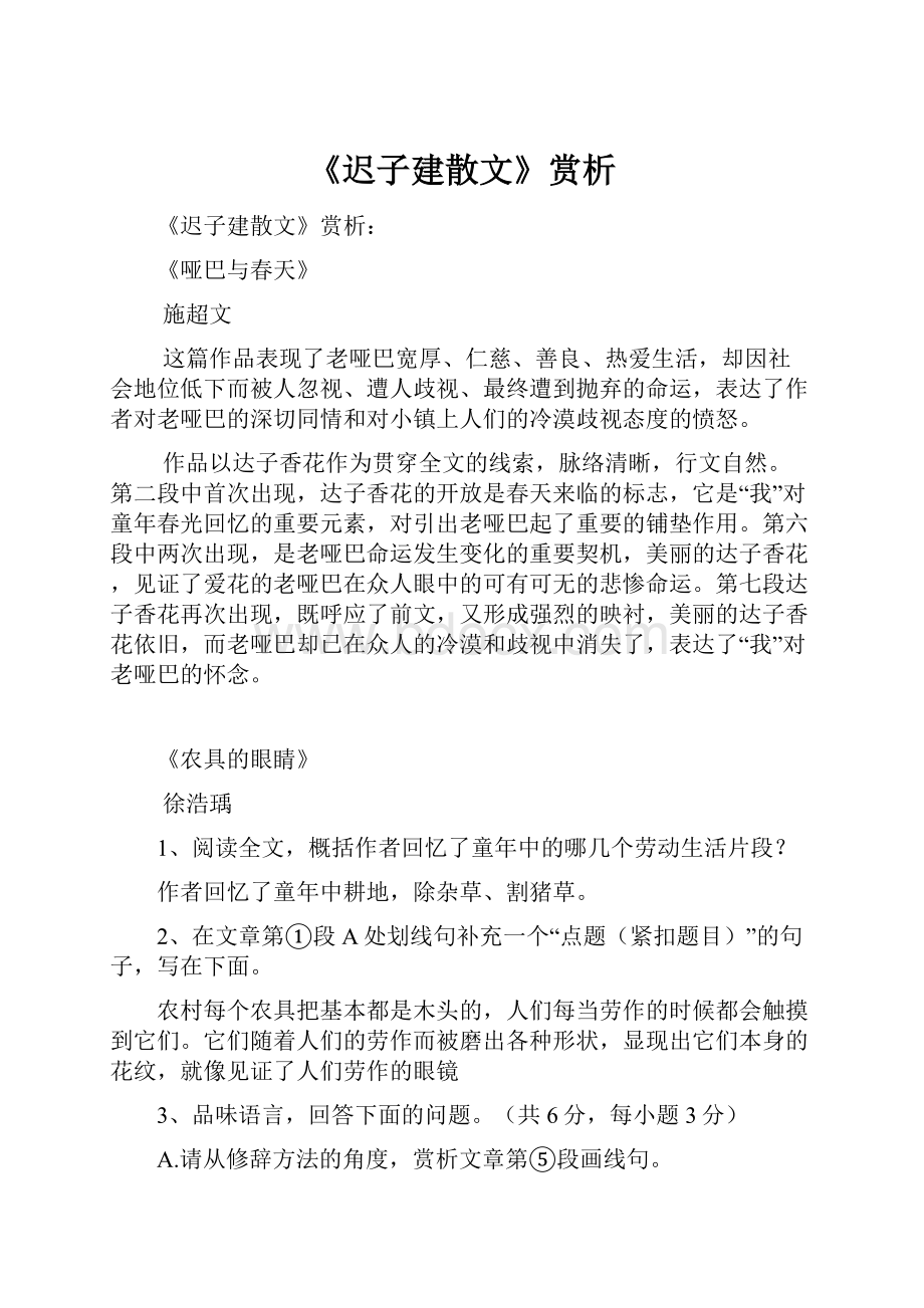 《迟子建散文》赏析.docx