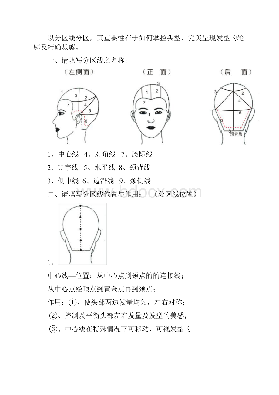 美发基础点线面.docx_第3页