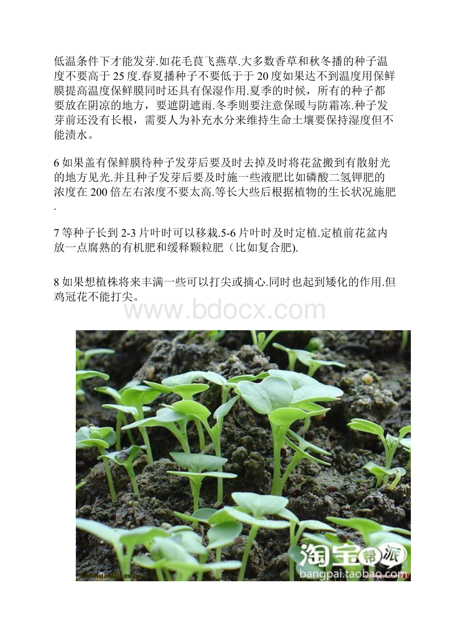 花种子的种植.docx_第2页