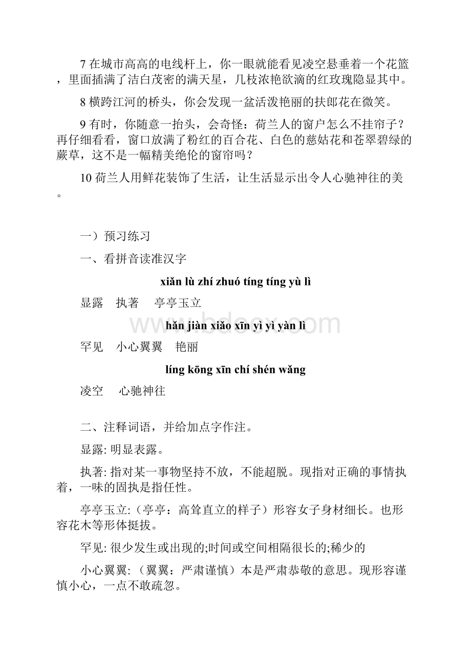 8《荷兰的花》练习题课后练习题及答案编制者复旦中学 陆增堂.docx_第2页