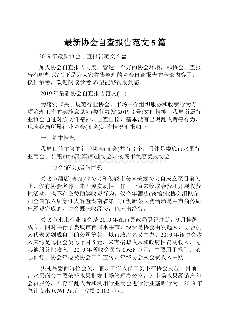 最新协会自查报告范文5篇.docx