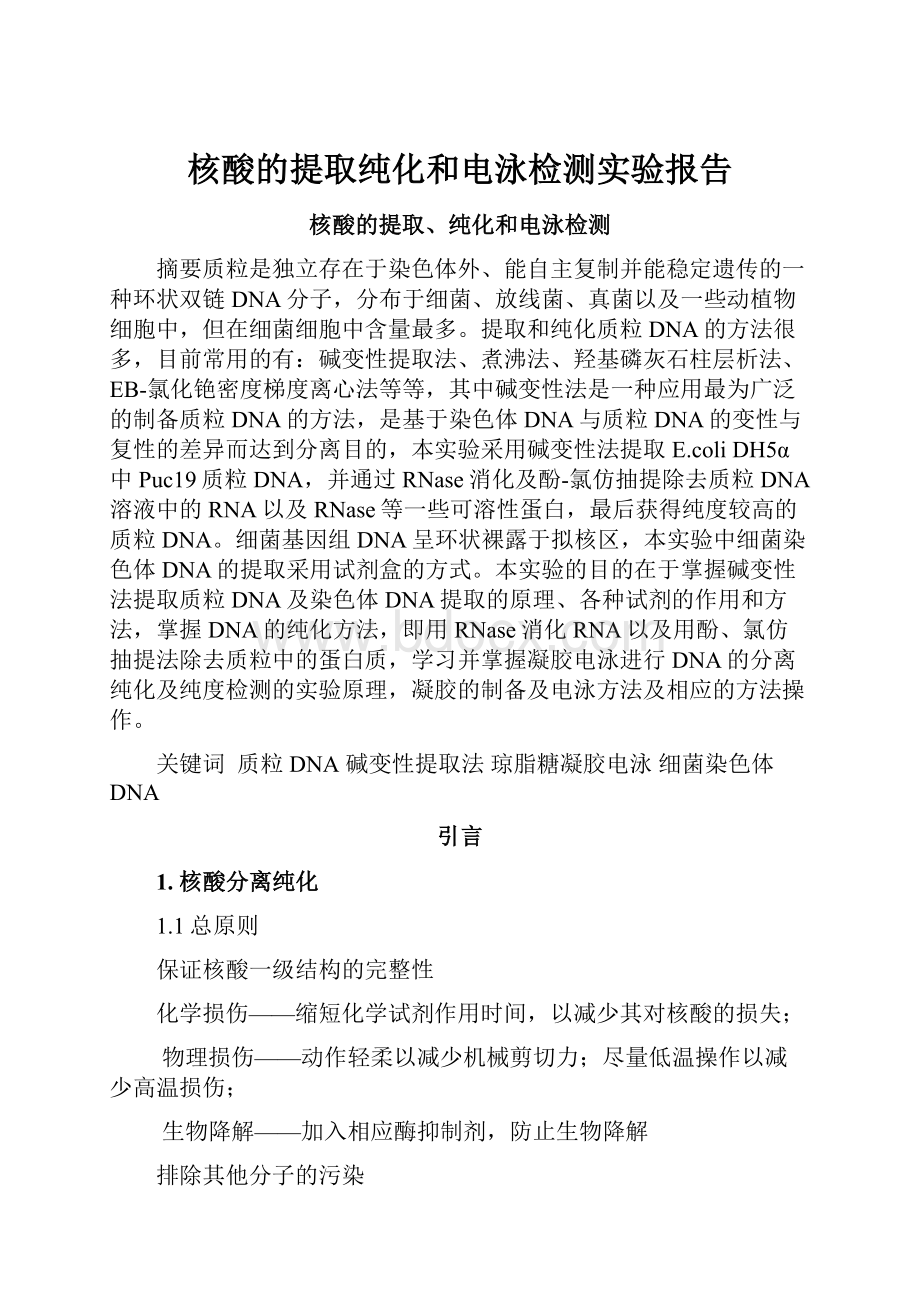 核酸的提取纯化和电泳检测实验报告.docx