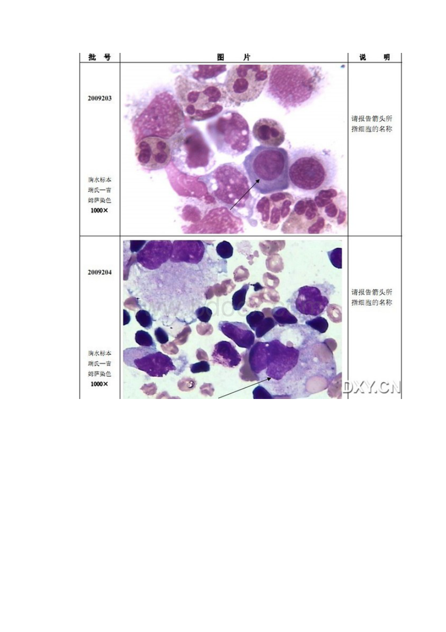 细胞形态学图片.docx_第2页