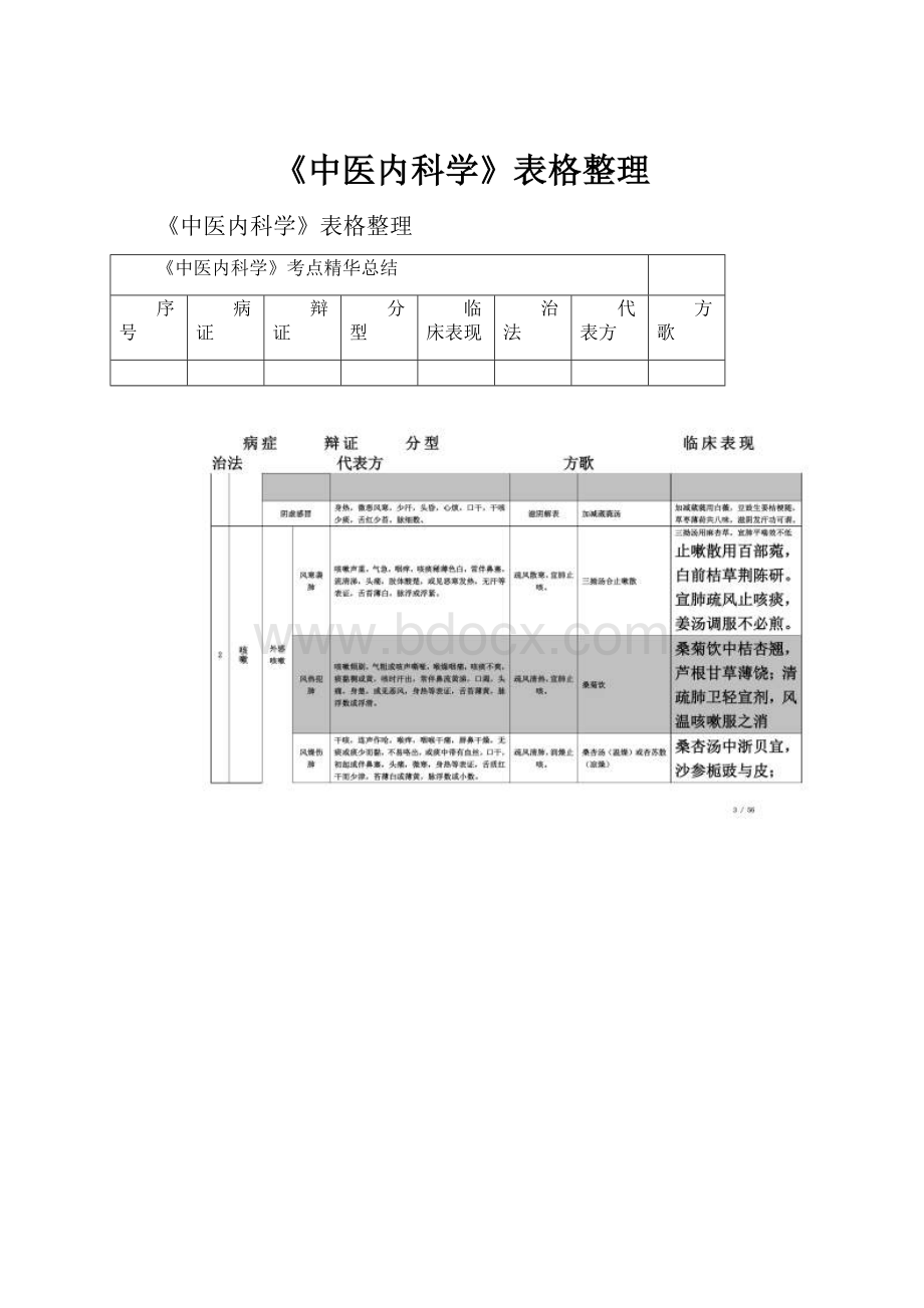 《中医内科学》表格整理.docx