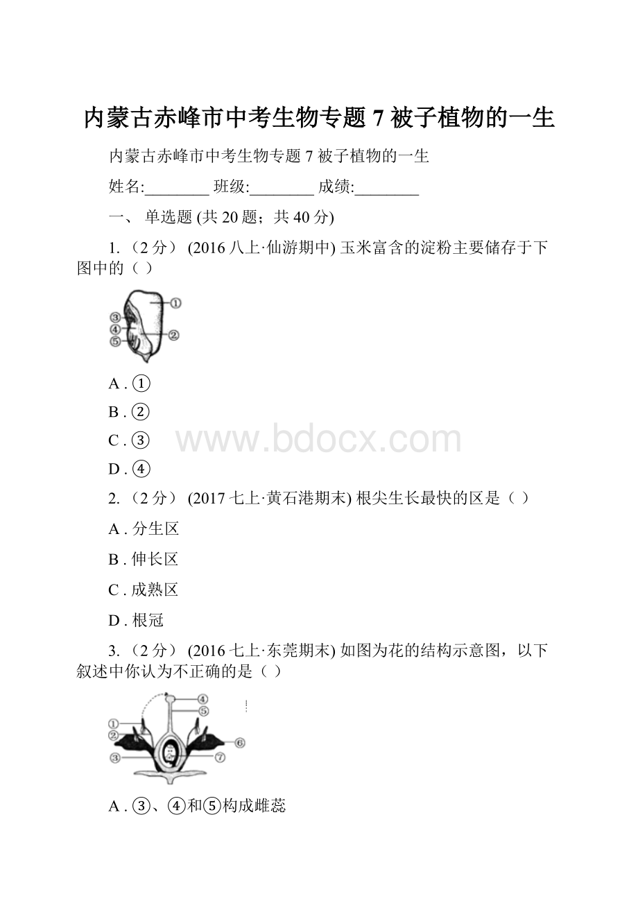 内蒙古赤峰市中考生物专题7 被子植物的一生.docx