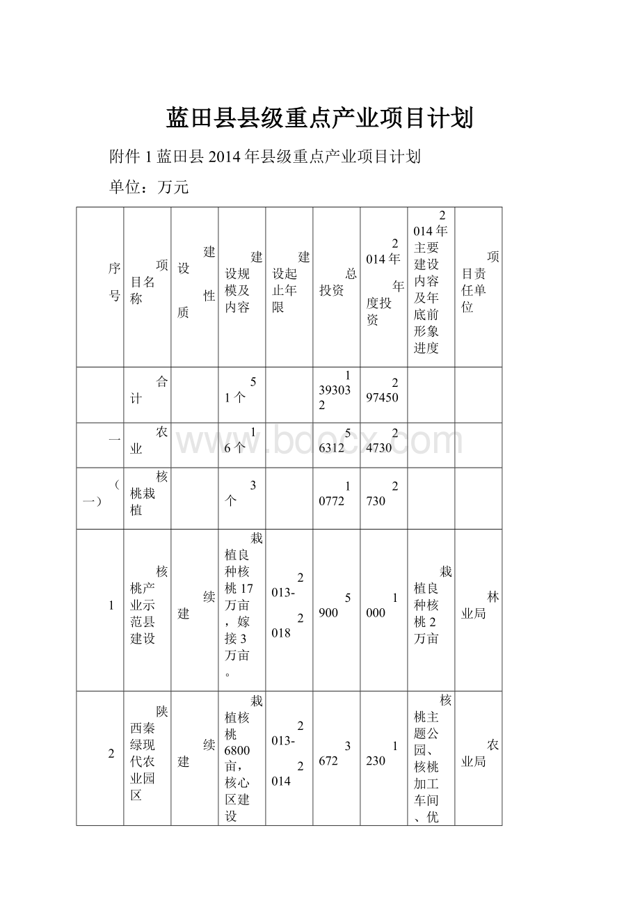 蓝田县县级重点产业项目计划.docx