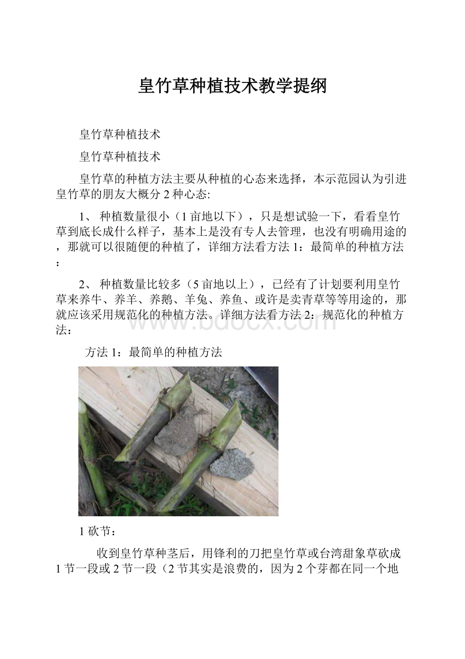 皇竹草种植技术教学提纲.docx