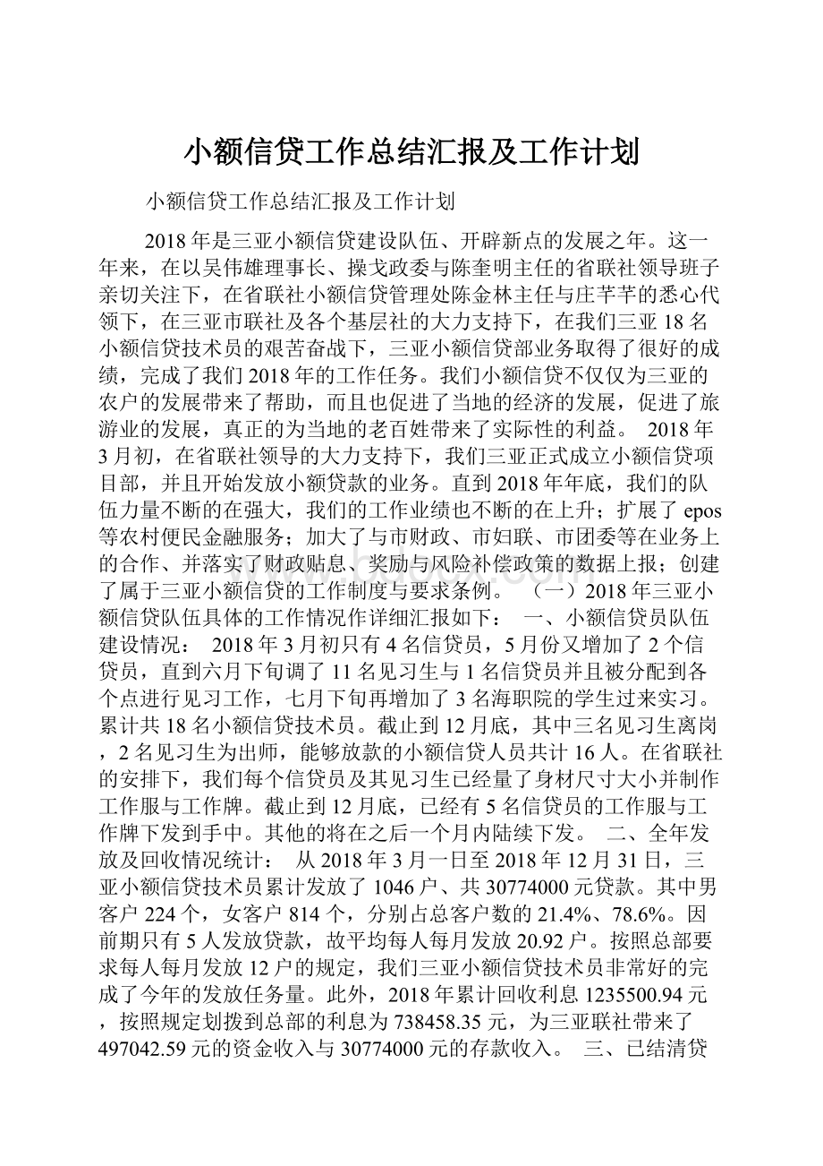 小额信贷工作总结汇报及工作计划.docx_第1页