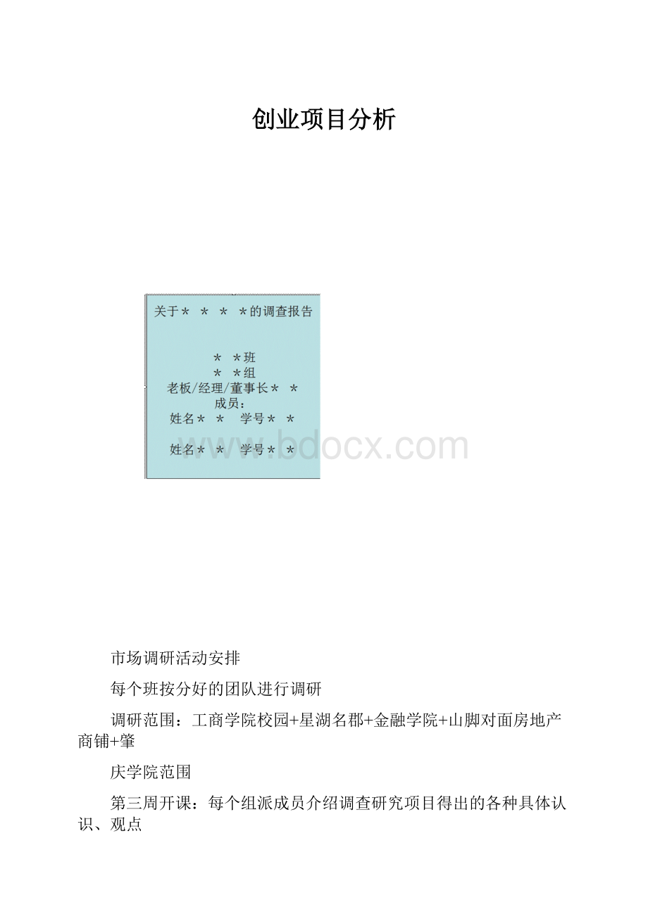 创业项目分析.docx