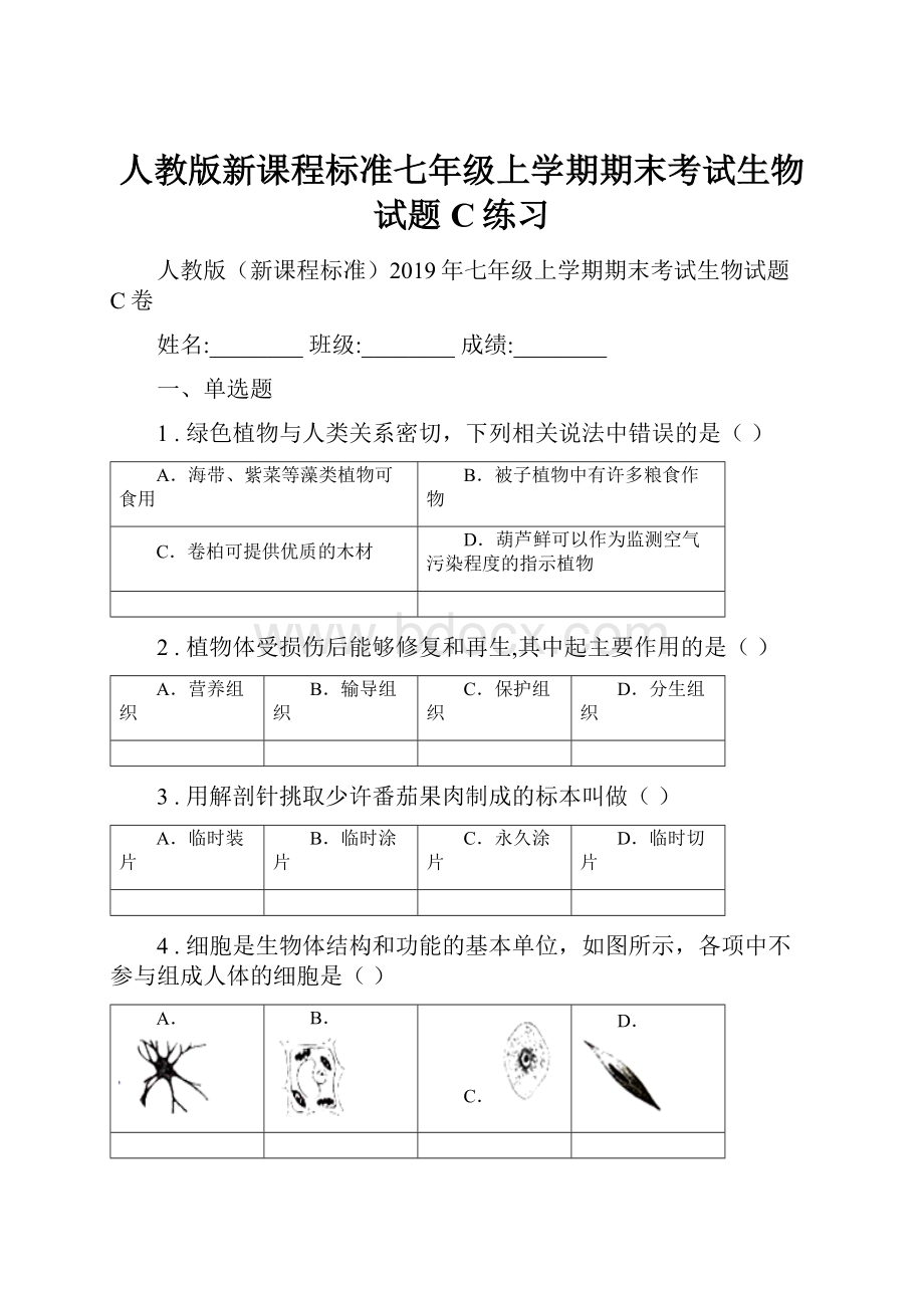 人教版新课程标准七年级上学期期末考试生物试题C练习.docx