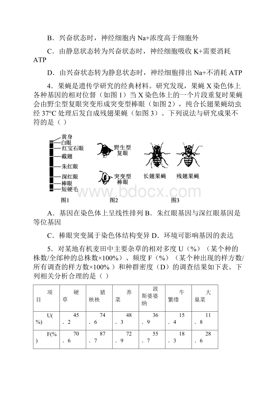 新疆维吾尔自治区学年高三第二次联考理综生物试题及答案.docx_第2页