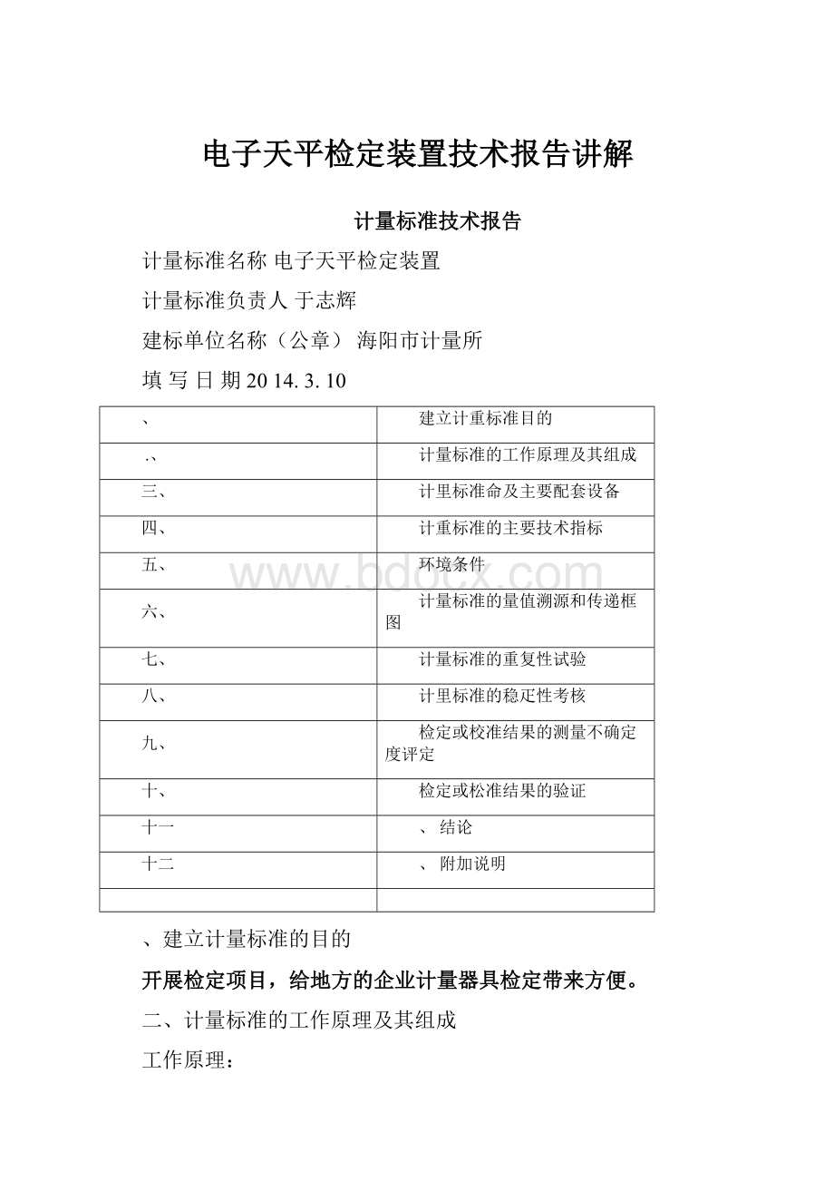 电子天平检定装置技术报告讲解.docx