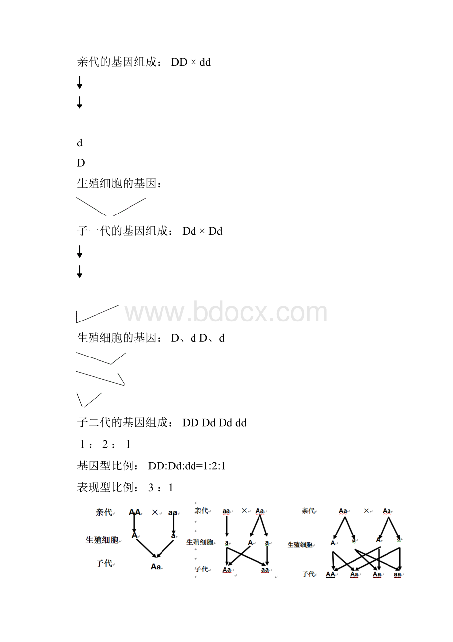 专题复习11生物的遗传变异和进化.docx_第3页