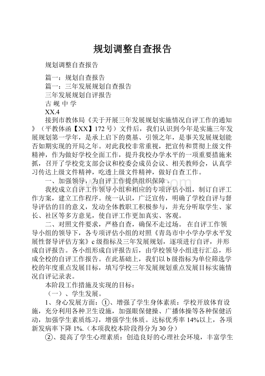 规划调整自查报告.docx_第1页