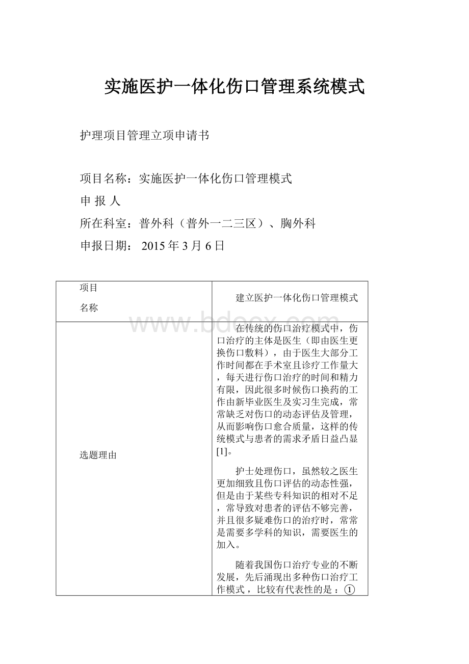 实施医护一体化伤口管理系统模式.docx