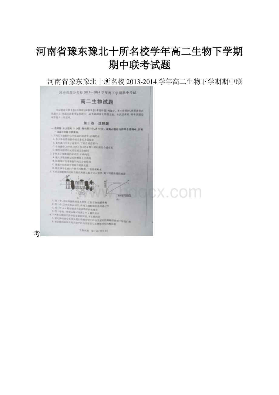 河南省豫东豫北十所名校学年高二生物下学期期中联考试题.docx