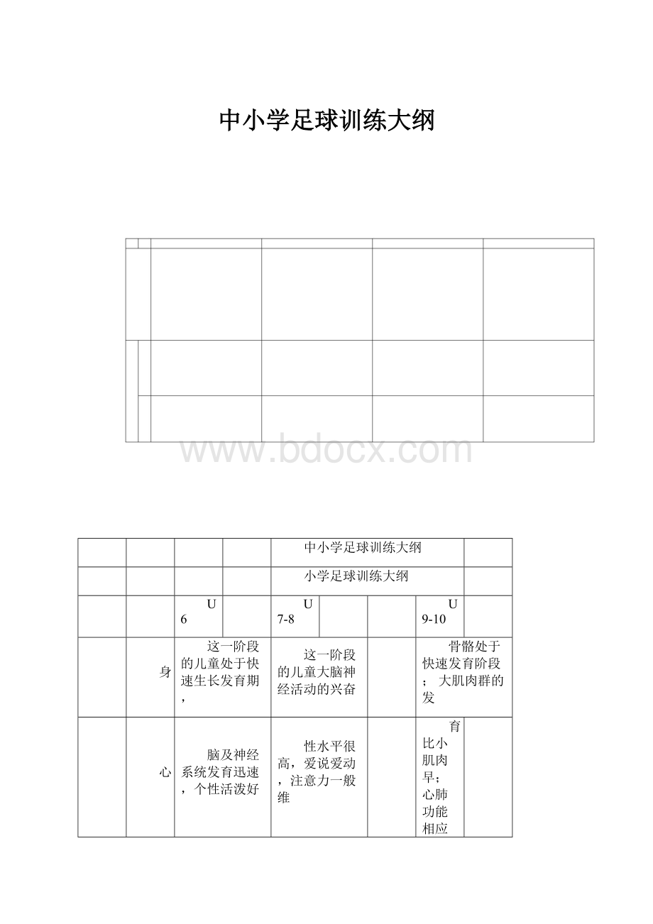 中小学足球训练大纲.docx_第1页